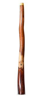 Wix Stix Didgeridoo (WS423)